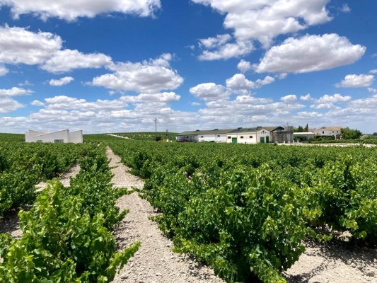 La Comunitat mantenía en 2020 el tercer precio más alto de la tierra de uso agrario