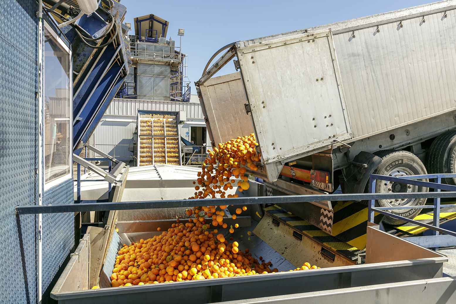 La patronal citrícola advierte: Mercosur no palia la falta de cereal por la crisis de Ucrania y daña a la naranja española