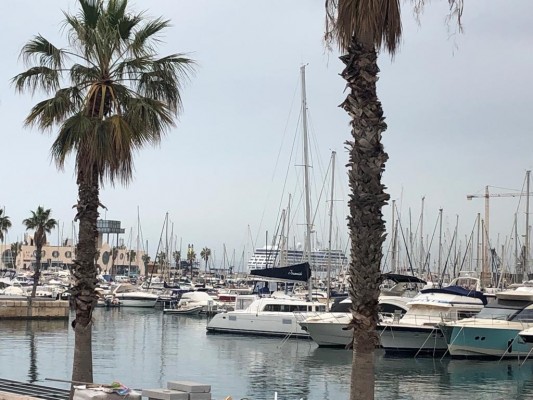 Alicante recibe tres barcos con 3.600 cruceristas en Semana Santa con un impacto de 180.000 euros