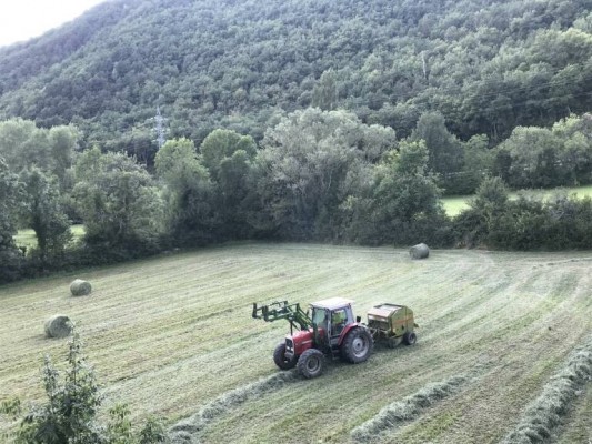 El Gobierno destina más de 6,7 millones para el programa de desarrollo rural en la Comunitat