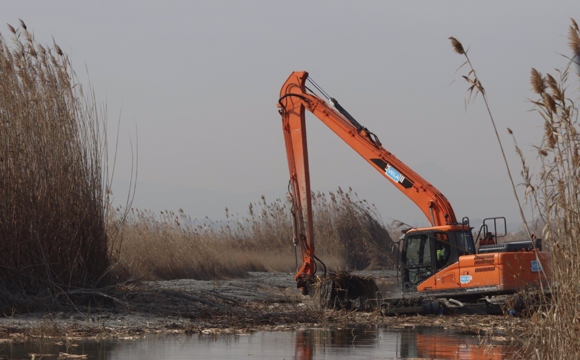 El Ayuntamiento desbroza 26.000 m2 en l'Albufera y draga más de 5 km de acequias y canales