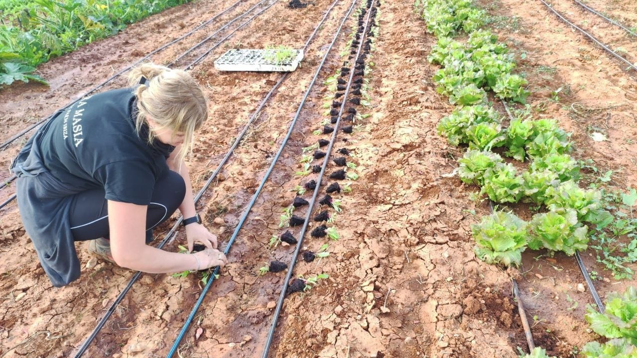 El calendario del campo español, un desafío por vencer con la reforma laboral