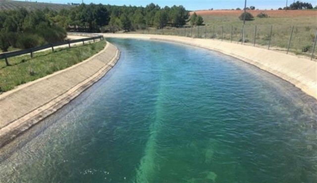 Las mesas del Agua de Alicante, Murcia y Almería avisan: cerrar el Trasvase costará miles de empleos