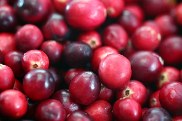 Un estudio apunta que 100 gramos de arándanos rojos al día mejoran la salud cardiovascular