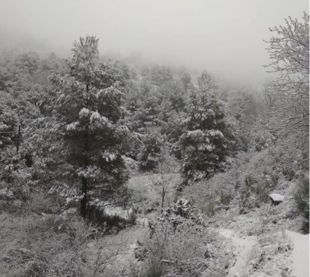 La nieve tiñe de blanco el Noroeste por segundo día consecutivo y los vientos azotan la costa de la Región