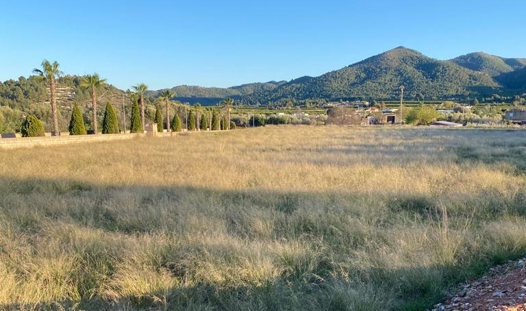 El PSOE de Onda cree que se ha creado un concurso 'ad hoc' para la parcela de los huertos urbanos