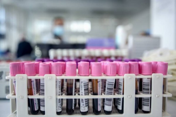  Investigadores con experiencia del Plan GenT, incluidos en programas de excelencia del Ministerio