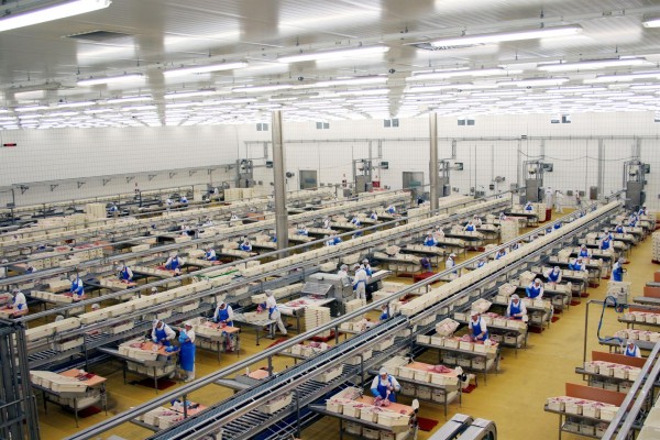 El Pozo Alimentación impulsa la formación de operario cárnico para 200 desempleados