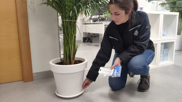 Aquatain Drops, un sistema para controlar de manera ecológica el ciclo vital de los mosquitos