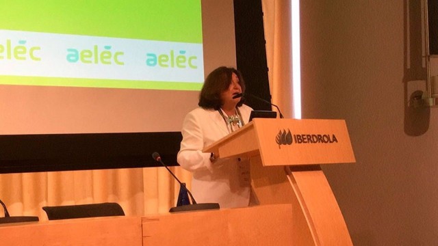 Las eléctricas critican las medidas de intervención del mercado, que no atajan los precios del gas
