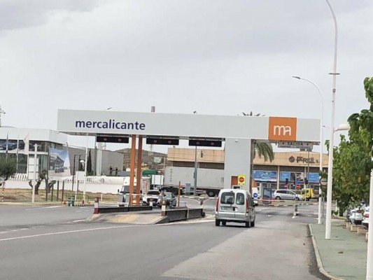 Alicante garantiza la continuidad de Mercalicante: valida su transformación en sociedad 100% pública
