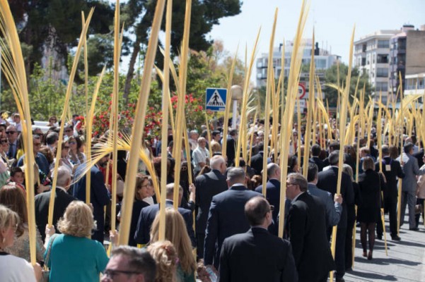 Los puestos de venta de palma blanca en Elche serán 27 este año y llegarán a barrios y pedanías
