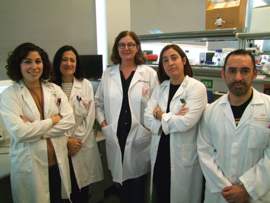 El Centro de Investigación Príncipe Felipe investiga un nuevo tratamiento para la retinopatía diabética