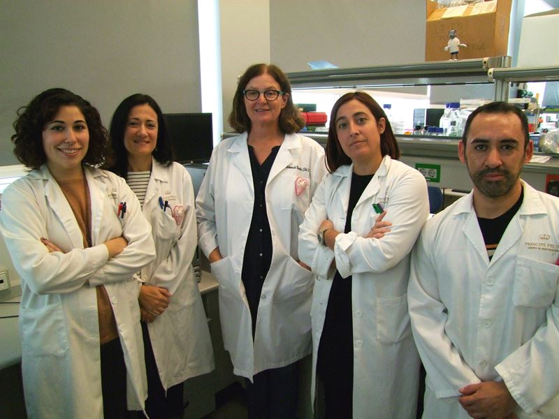 El Centro de Investigación Príncipe Felipe investiga un nuevo tratamiento para la retinopatía diabética