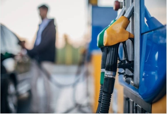 Imagen de archivo. - 