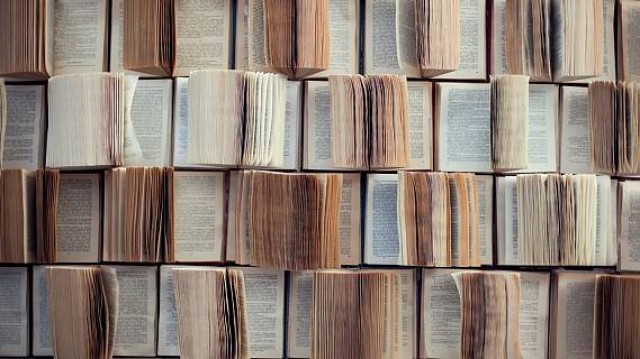 El Gil-Albert recorrerá archivos y bibliotecas para poner en valor la memoria histórica de la provincia

