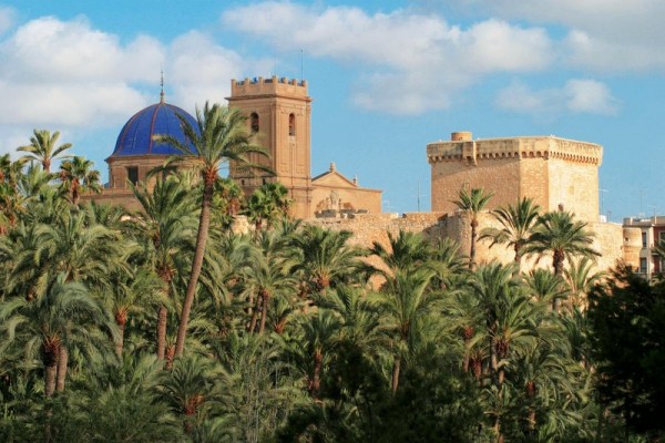 Elche existe