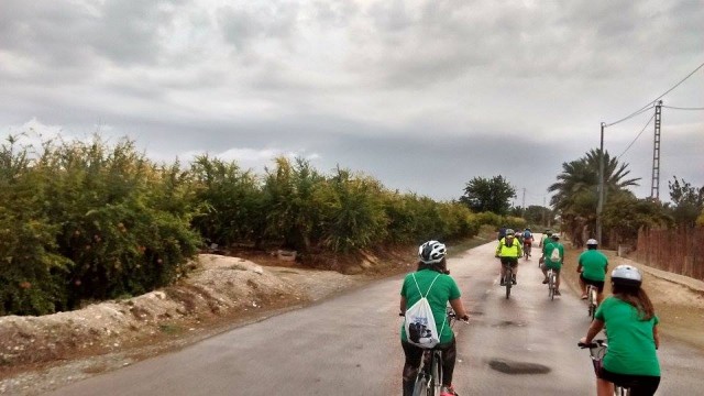 Margalló denuncia la apropiación de caminos públicos de Elche por particulares y  la dejadez de la administración