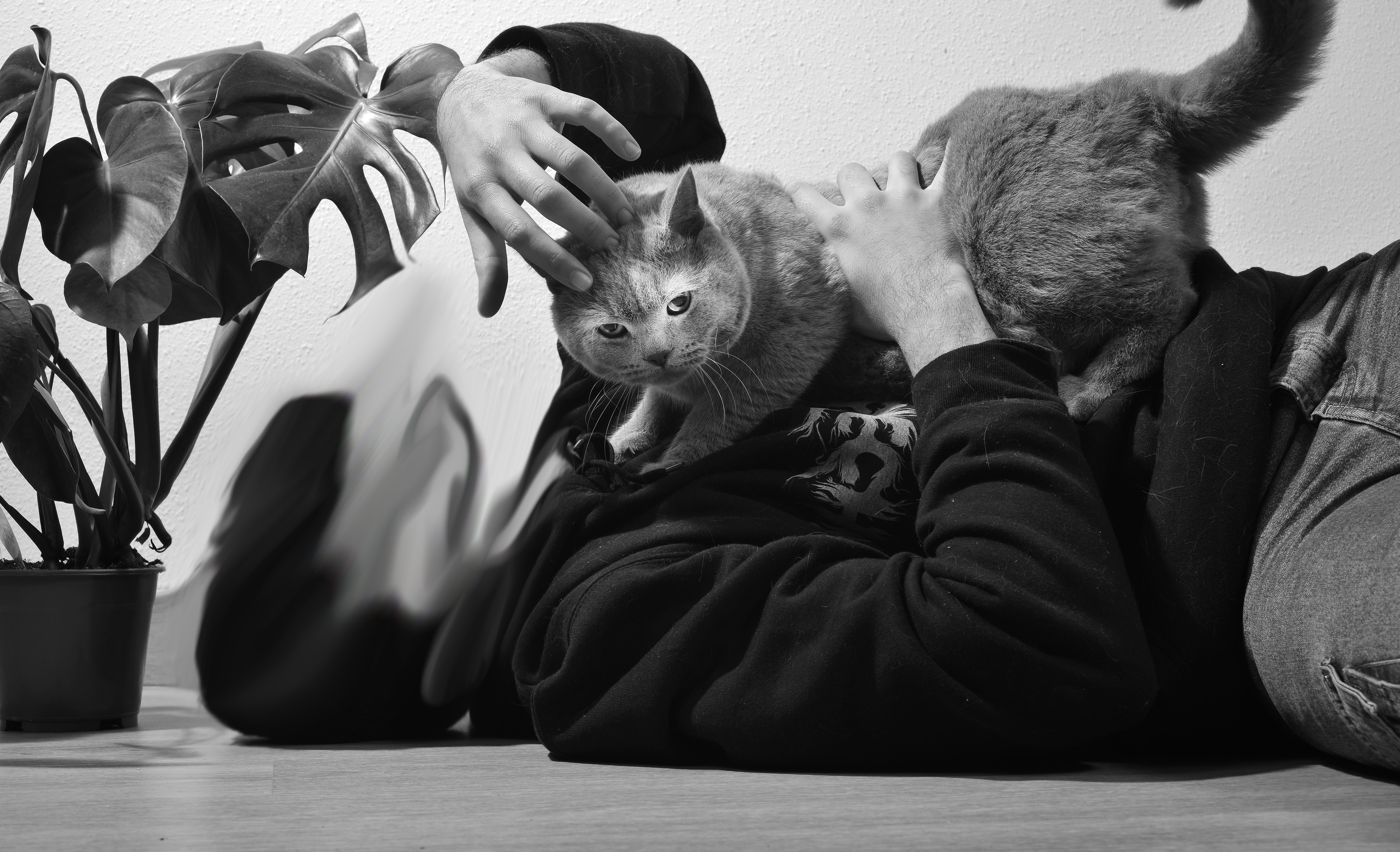 Generación V: Techo de menos