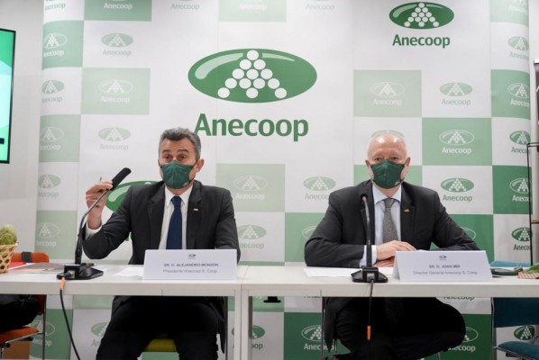 Anecoop aumenta un 3% sus ventas hasta los 994 millones y asegura el suministro de sus productos  