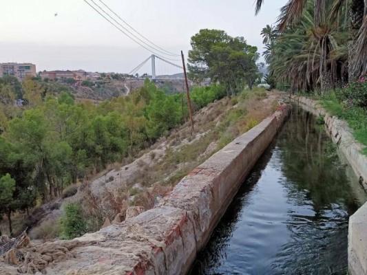 El plan de riego del palmeral, a contrarreloj: una contratista, pero el plazo para la subvención son tres meses