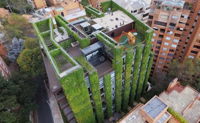 El biólogo alicantino Ignacio Solano, artífice del jardín vertical más grande del mundo