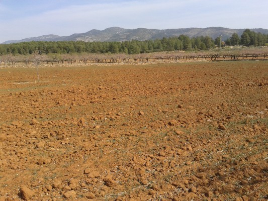 La Unió remarca que las ayudas del Ministerio de Agricultura son 
