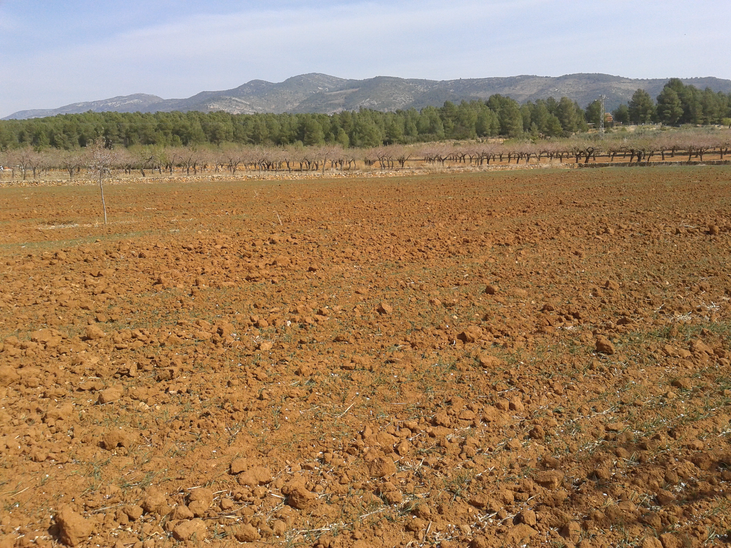 La Unió remarca que las ayudas del Ministerio de Agricultura son 