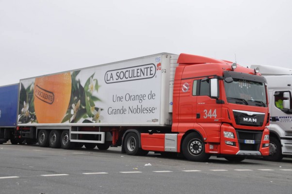 La patronal citrícola exige medidas para garantizar el envío de fruta ante el 