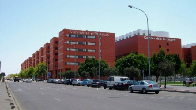 El Consejo Europeo de Investigación da 3,5 millones de euros dos proyectos de la UV
