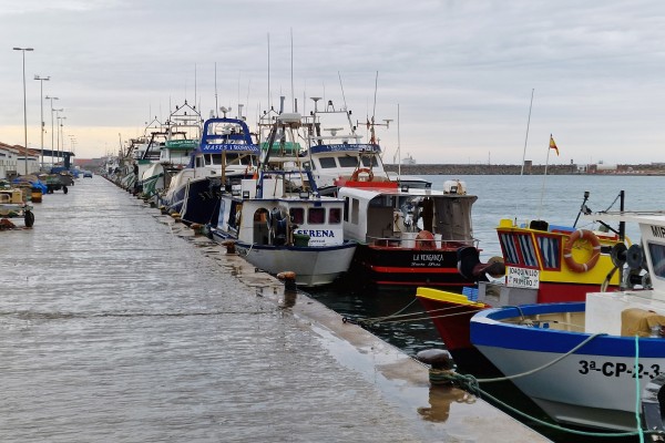 La pesca, acorralada por el gasoil y por 'Celia': el cerco para y el arrastre se debate en un mar de dudas