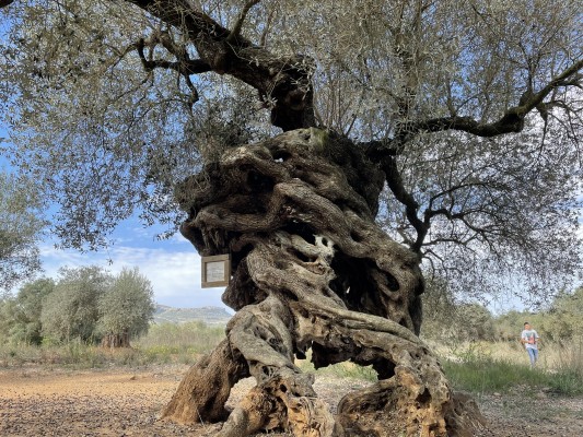 Los secretos del Baix Maestrat (Castelló) 
