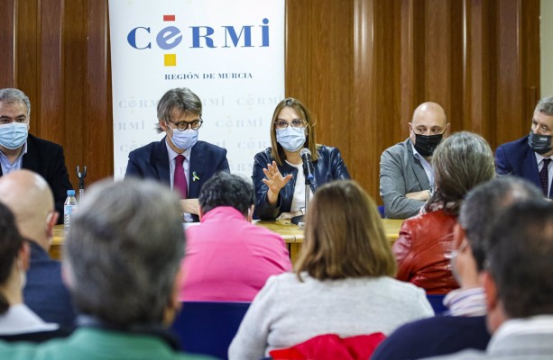 Hasta 5 millones de euros para ayudar a la discapacidad y víctimas de violencia en la Región