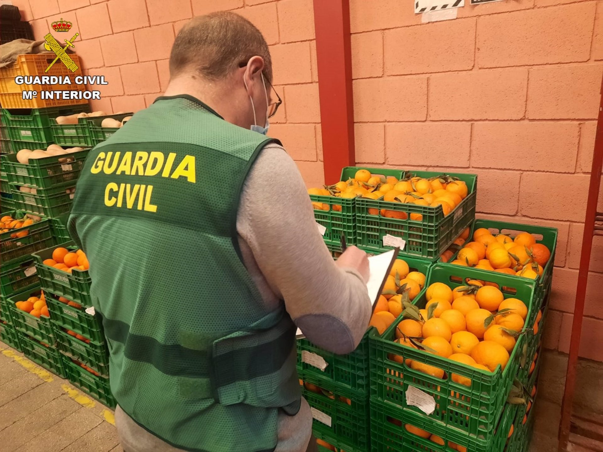 La Guardia Civil interviene 20 toneladas de naranjas contaminadas con plaguicida prohibido 