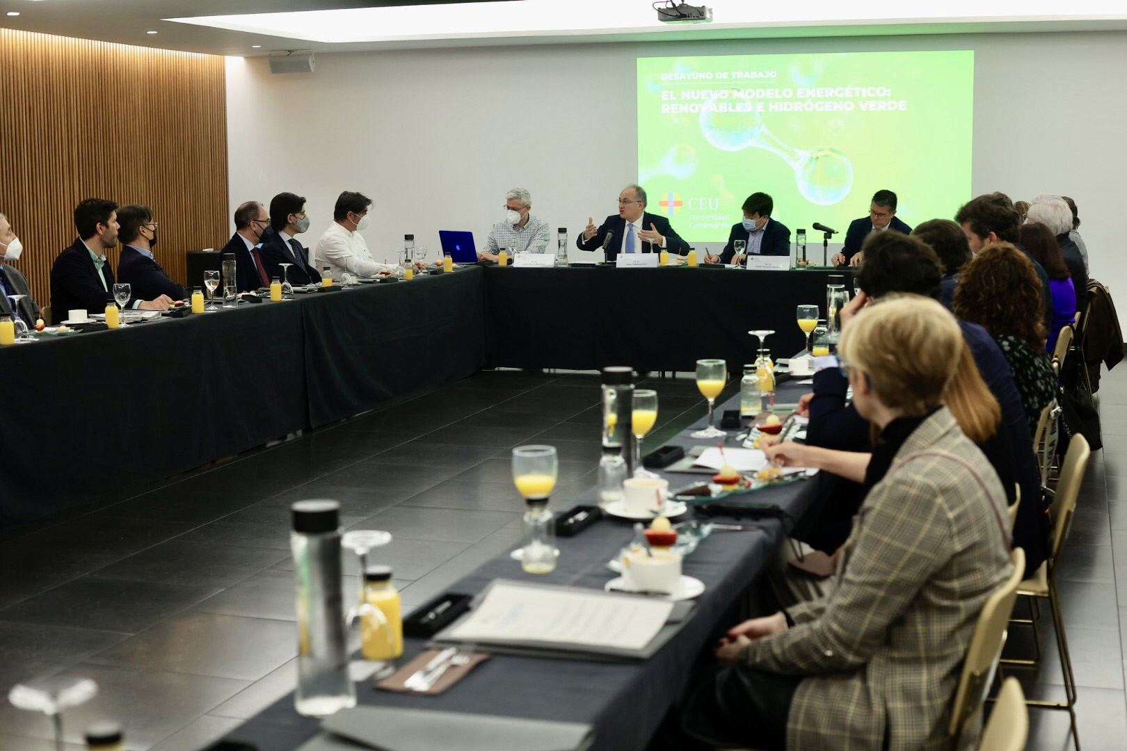 Expertos analizan en Castelló líneas de financiación europea a proyectos de hidrógeno verde
