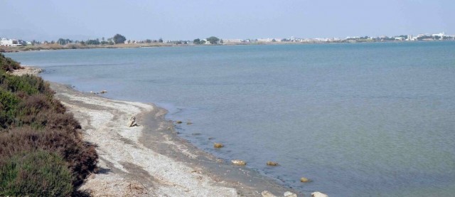 La Comunidad debe multar a ocho empresas por contaminar el Mar Menor: así se lo obliga el TSJ 