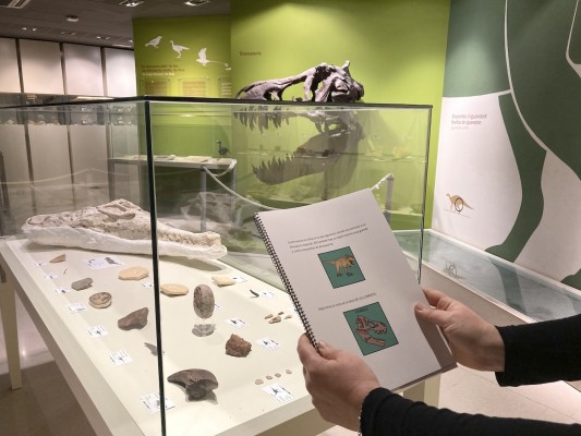 El Mupe impulsa la accesibilidad del museo para personas con autismo