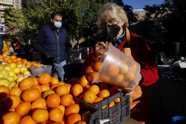 Castelló impulsa la unión entre productores de la Fira de la Taronja y la restauración de la ciudad 