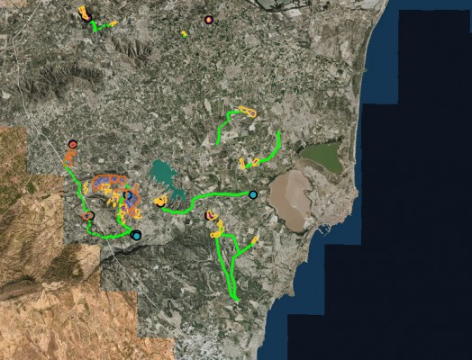 Los 16 proyectos de planta solar en la Vega Baja ocuparían 7,2 millones de m2: la mitad incumplen el PAT