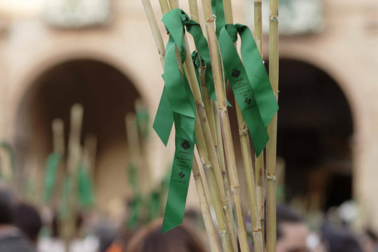 La Magdalena post-Covid: así serán las fiestas día a día