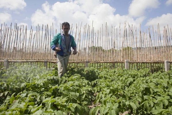 La guerra de Ucrania amenaza la seguridad alimentaria en el Mediterráneo y el precio de los productos agrícolas