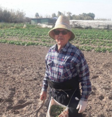 Paco el Foguerero, a los 88 años dándole a la azada