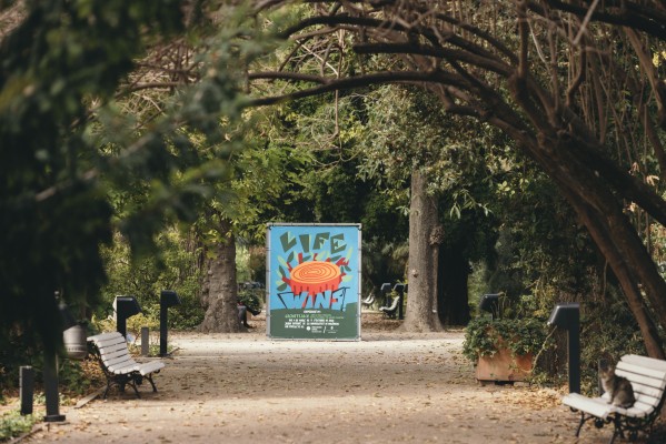 Cachetejack llena de color el Botànic 
