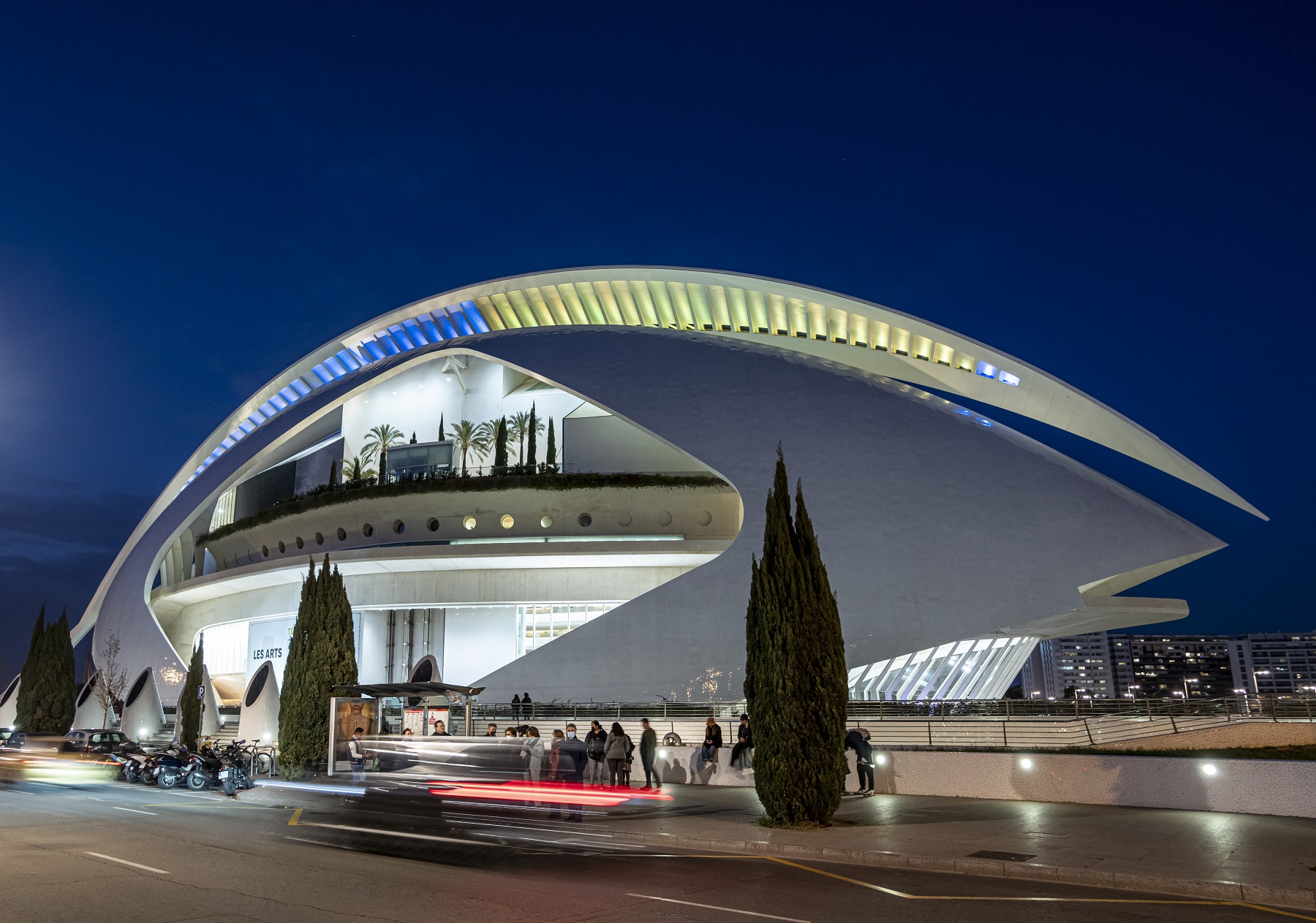 Foto: MIKEL PONCE. - 