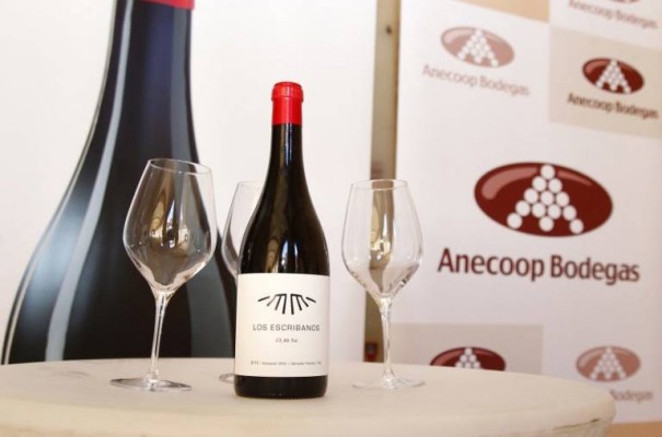 Rusia vuelve a castigar a Anecoop: devuelve 11 contenedores de vino   