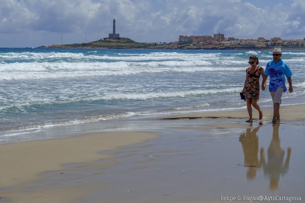 Cartagena tendrá bodas en las playas todo el año... y no se olvida de los perros en la nueva ordenanza  