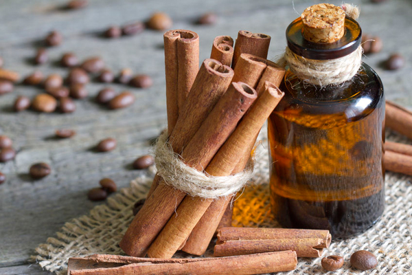 Los aceites de canela permiten aumentar cuatro semanas la vida útil de alimentos