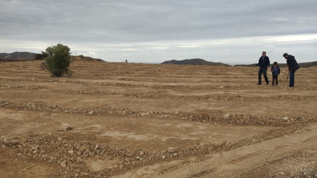 El Día del Árbol devuelve a la vida la Partida de Coca, antiguo vertedero de El Campello 