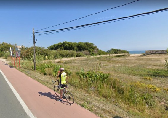 Denia crea un cordón dunar para proteger el bosque mediterráneo de la playa de Les Deveses

