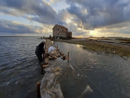 La encañizada el Ventorrillo recupera el arte de pesca tradicional en la zona norte del Mar Menor


